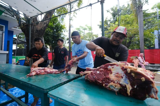 
					Pelindo Regional 4 Gelar Sholat Ied dan Bagikan Daging Qurban