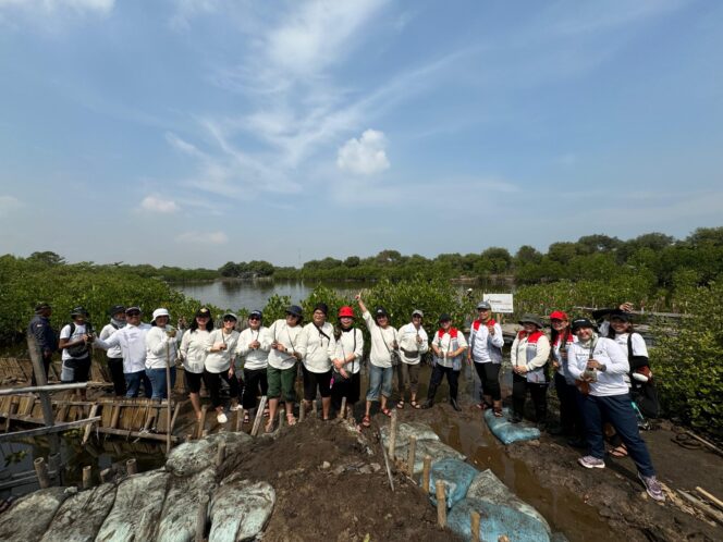 
Pertamina International Shipping Tanam 10 Ribu Mangrove Jaga Pesisir Pantai Nusantara