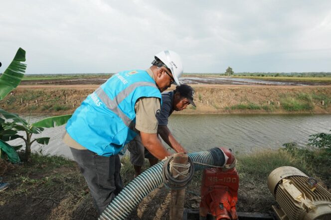 
					Electrifying Agriculture PLN Raih 53.539 Pelanggan Baru di Tahun 2024