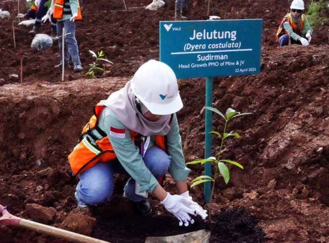 
Dari Morowali untuk Bumi: PT Vale IGP Tanam Harapan Lewat Reklamasi Sejak Langkah Pertama